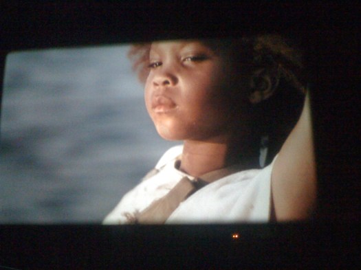 Bestias del sur salvaje