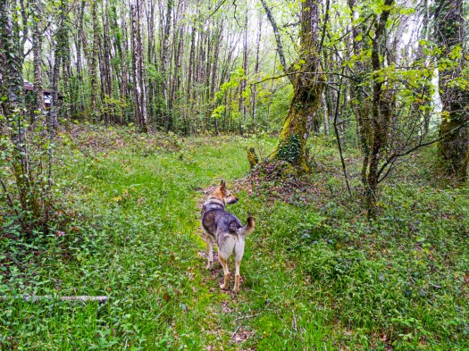 IMG_20200426_162356_6