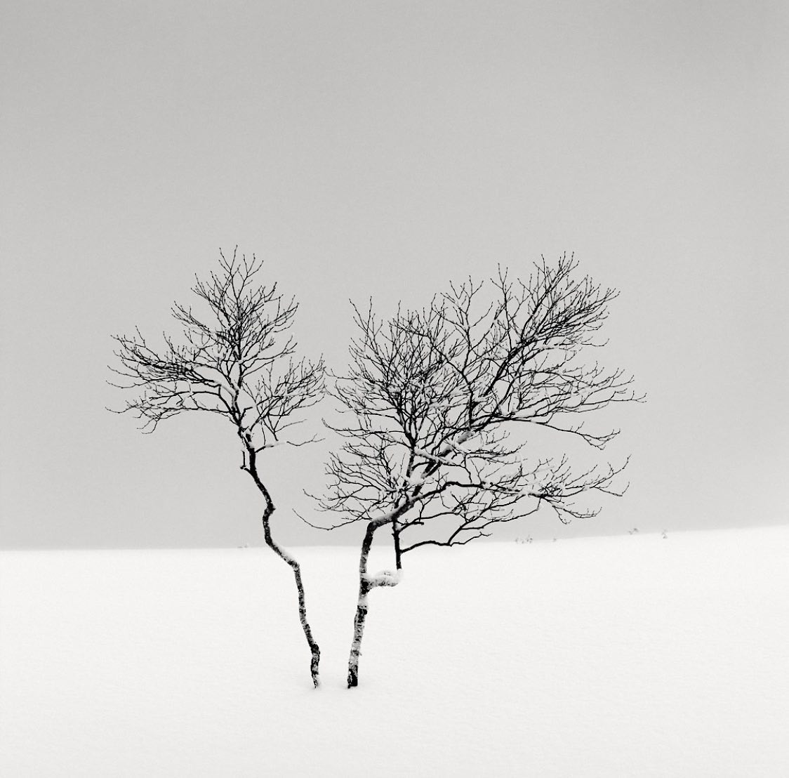 © @olivierrobertphoto