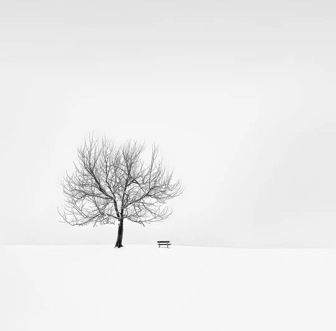© @ninapapiorek